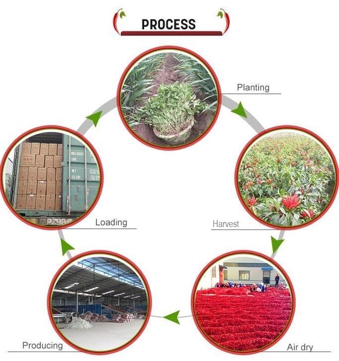 Cina Neihuang Xinglong Agricultural Products Co. Ltd Profil Perusahaan