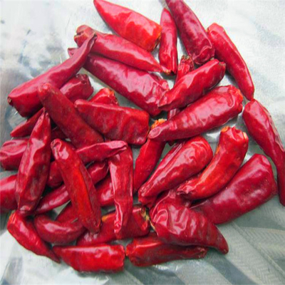 Putaran 12% Kelembaban Red Bullet Chilli Anhydrous HACCP Dengan Hat King Ukuran Kecil