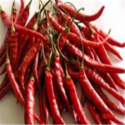Air Dried Erjingtiao Dried Chilis tanpa batang dan dikemas dengan Chili Peppers