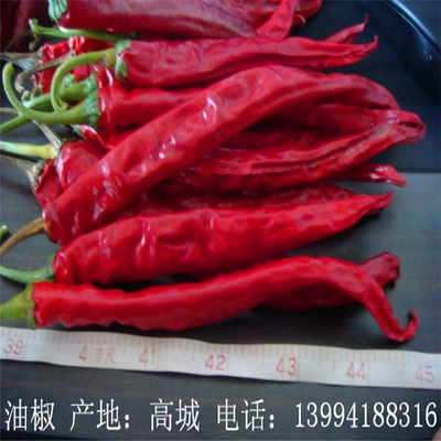 Authentic Chili Peppers Erjingtiao Dried Chilis dengan 8-12% Kelembaban dan Air Dried Process