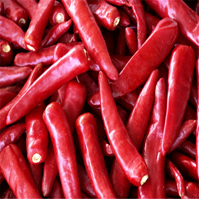 Buah Cabe merah kering dengan Bahan-bahan Tanpa Batang Tambahkan Bumbu ke Makanan Anda