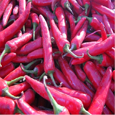 Buah Cabe merah kering dengan Bahan-bahan Tanpa Batang Tambahkan Bumbu ke Makanan Anda