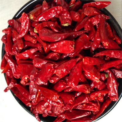 Air Dried Red Bullet Chilli Warna Merah Gelap Dengan Topi Untuk Dapur Penting