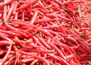 Bahan-bahan Chilli Mata Burung Pedas Dingin 1KG memberikan rasa yang tak tertandingi