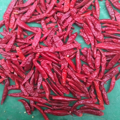 Biji Granul Cabe Kering Renyah 15000SHU Pedas Kecil