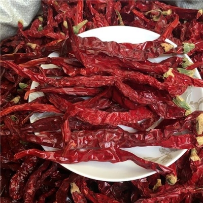 4 - 7cm Cabai Merah Kering 99% Murni Di Tempat Dingin Dan Kering 50000 SHU