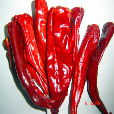 99% Kemurnian Cabai Merah Kering Tanpa Tangkai Berat Tas 10kg/25kg