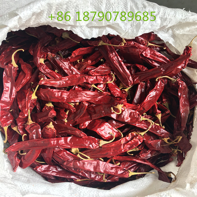 Cabai Kering Paprika Merah Berasap Dari Spanyol Untuk Masakan Dan Penyedap