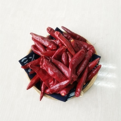 Cayenne Dried Red Chilli Peppers 4 - 7cm Rasa Pedas yang Kuat