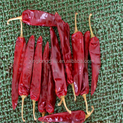 Red Jinta Chili 0,3% Max Kekeruhan Rasa Pintar Kuat 25KG Kemasan