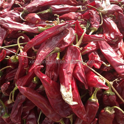 Red Yidu Dried Chili Peppers Kuat Pedas disimpan di tempat dingin kering 200g