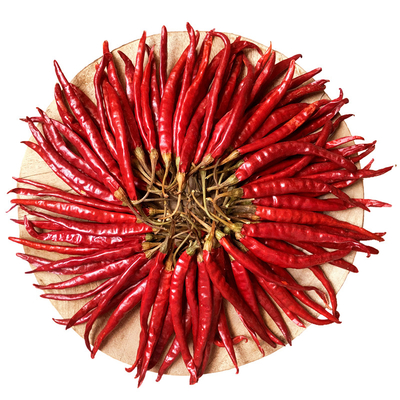 Kalsium Kaya Dried Bird Eye Chili Untuk Kreasi Kuliner yang Berani dan Pedas