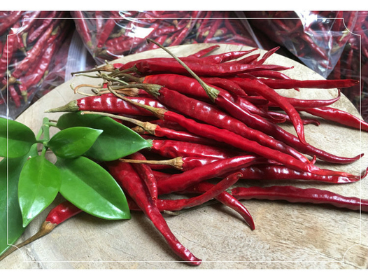 Kalsium Kaya Dried Bird Eye Chili Untuk Kreasi Kuliner yang Berani dan Pedas