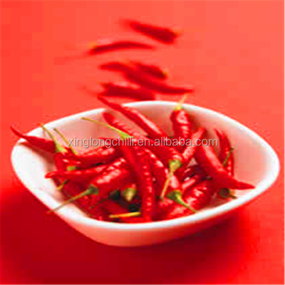 Red Chili tekstur halus Pepper Powder 100g Kaya Vitamin C