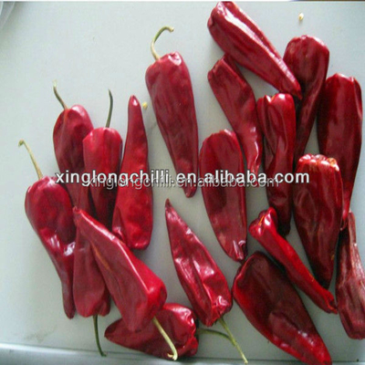 Bumbu Red Chilli Pepper yang dihancurkan