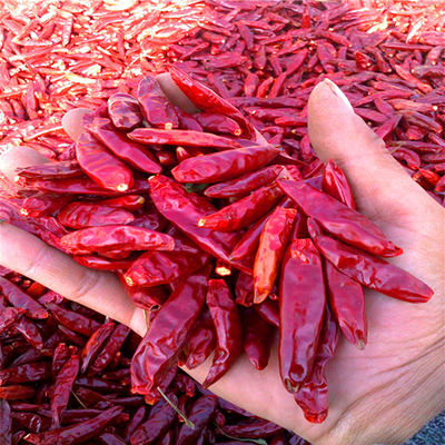 100g Cayenne Pepper Chili Powder Fine Powder Merah Dry And Cool Tempat
