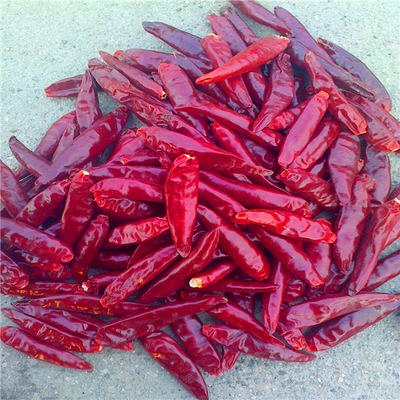 Pisang Tianjin Merah Kecil Pedas Tinggi Vitamin C Bergizi Dan Lezat