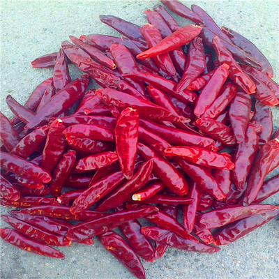 Asia Pedas Tianjin Dried Chili Peppers 100g Kecil Tinggi Vitamin C