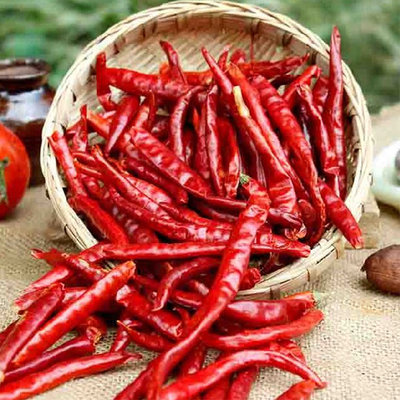 7-19cm Panjang Chilli Dehidrasi dengan Paket Dikunci Vakum