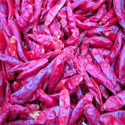 4-7cm Cayenne Dried Red Chili Peppers Kondisi penyimpanan Tempat yang dingin dan kering