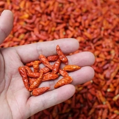 BRC Red Dried Birds Eye Chili Kecil Untuk Pecinta Rempah-rempah