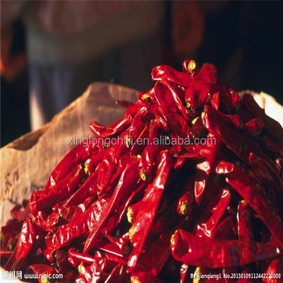 7-15cm Red Yidu Chili Rasa khas Dengan berat bersih 200g