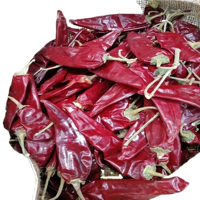 10 - 15cm Guajillo Chili kering 50BLS Untuk hidangan rebusan