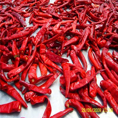 Pedas Cina Dried Red Chili Peppers Dengan Sebagai Bahan