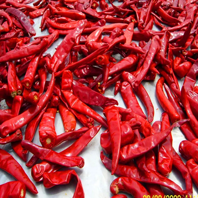10kg Berat Satuan Chilli Dengan Kandungan Kelembaban 12%Max