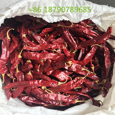 1% Kekeruhan Natural Red Mild Dried Chilies Untuk Permintaan Pelanggan