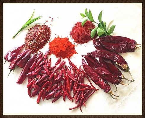 Kelembaban 8%-12% Guajillo Chili kering Merah utuh / tongkat
