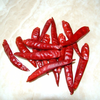 Rasa yang Kuat Guajillo Chili Pods untuk Sup Saus Rebus dan Marinade