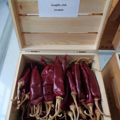 Buah Chili Guajillo dengan Aroma Pedas
