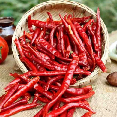 Bumbu Red Paprika Chili Dan Bumbu Bumbu Untuk Pengalaman Makan Anda