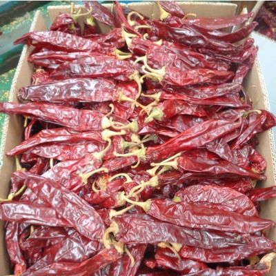 Tinggi Vitamin A dan C Paprika Dry Peppers Pepper Manis Rasa Rempah-rempah Dan Bumbu Bubuk