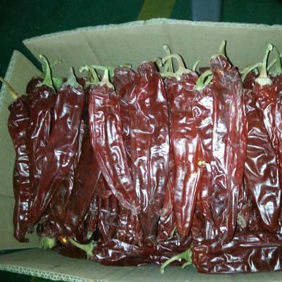 Tinggi Vitamin A dan C Paprika Dry Peppers Pepper Manis Rasa Rempah-rempah Dan Bumbu Bubuk