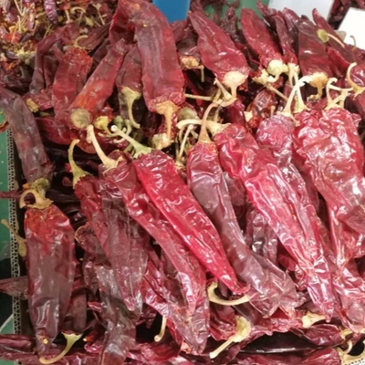 Ramuan dan Rempah-rempah Tunggal pada Paprika Dried Peppers Untuk Kebutuhan Bisnis Anda