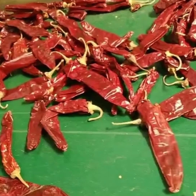 Ramuan dan Rempah-rempah Tunggal pada Paprika Dried Peppers Untuk Kebutuhan Bisnis Anda