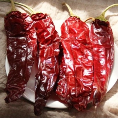 Bahan-bahan Paprika Pepper Chili Capsicum Xinjiang Chili Kecapitan 500SHU
