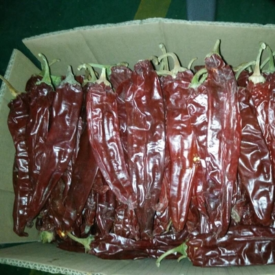 Buah Paprika Merah Kering Untuk Bisnis Bahan Makanan Anda