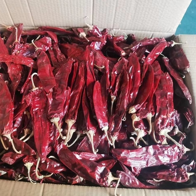 1000 cfu/g Paprika Pods Untuk Bisnis Bahan Makanan Anda