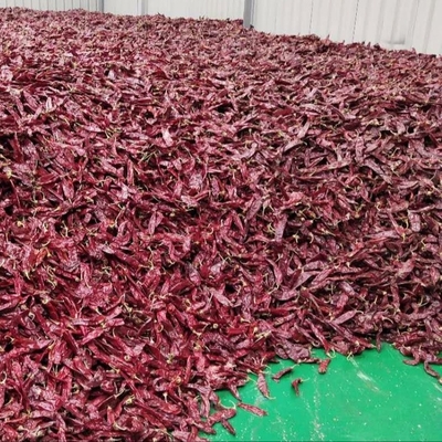 1000 cfu/g Paprika Pods Untuk Bisnis Bahan Makanan Anda