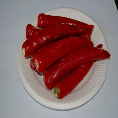 Bubuk Chilli India Premium - Tekstur halus ASTA 120