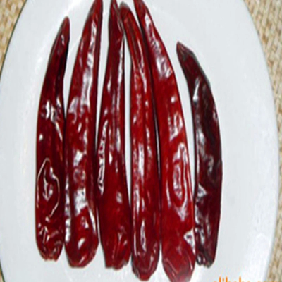 12 Bulan Shelf Life Bubuk Chilli Dari Pemasok Langsung Pepper Chilli