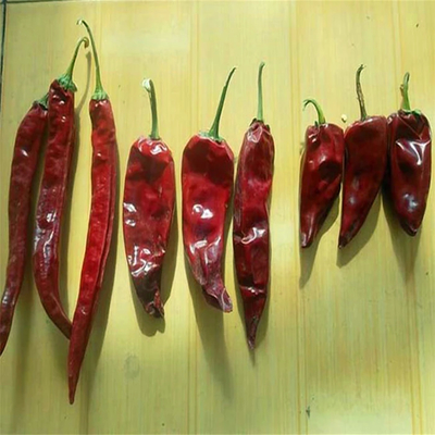 Tambahkan Tendangan ke Hidangan Anda dengan Pepper Pedas Kering Bahan-bahan Chili Esensial