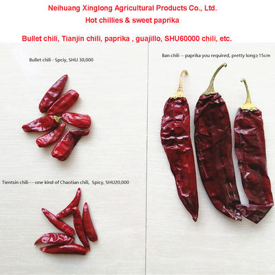 1 Tahun Shelf Life Sweet Paprika Pepper Dried Red Chilli Additive Untuk Bahan Makanan Berkualitas Tinggi
