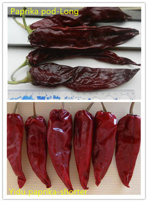 Sun Dried Chilli Pepper Sweet Paprika Pepper Dengan 1% Kekotoran 7-19cm