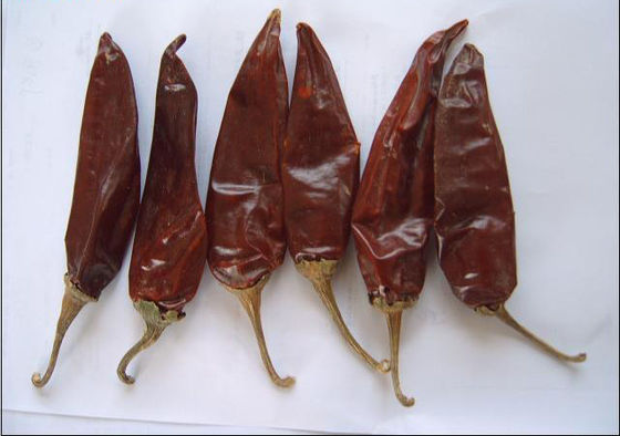 10-15cm Grade A Red Jinta Chili Pepper 50BLS Tas Dikemas