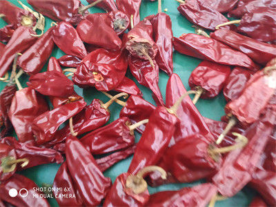 Grade A 3000-5000shu Jinta Chilli Pepper Dengan Rasa Manis