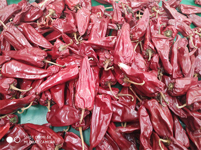 8000 SHU Yidu Chili Pedas Chilli Flavour Beijinghong Jinta Chilli